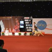 DSC_8103 (1)